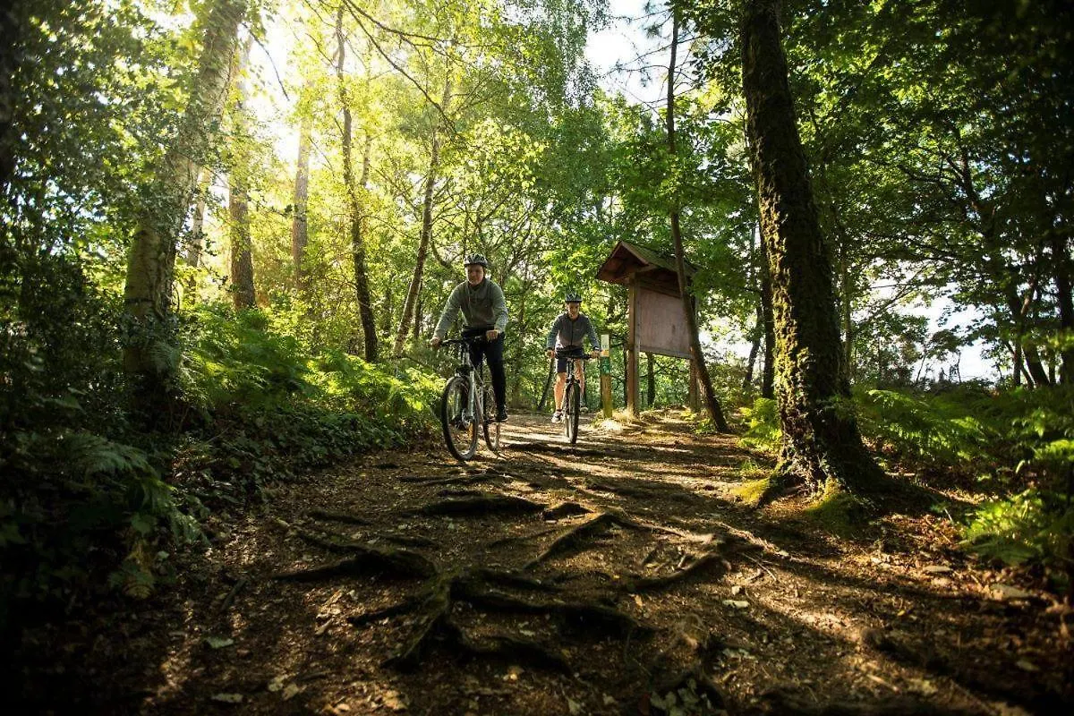 Le Paradis Perdu Mur-de-Bretagne 0*,